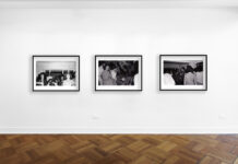 Exposición virtual “Entre la cordillera y el mar” de Víctor Hugo Codocedo