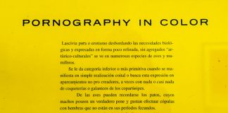Comunicado - "Pornography in color" de Isidora Bravo