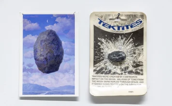 Obra de Javier González, exposición «Afecto extraterrestre». Galería D21, Santiago, 2026.