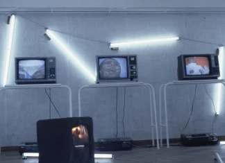 Archivo encarnado: corporalidad y registro audiovisual En La «Videoperformance» Las Cantatrices de Carlos Leppe.